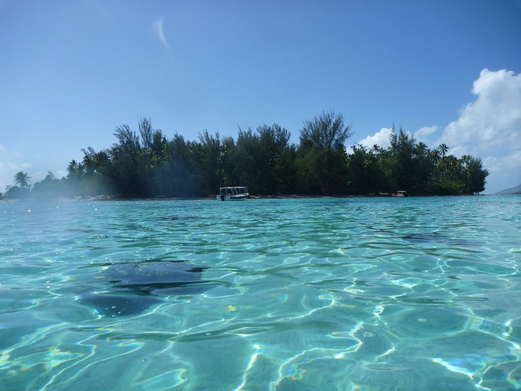 Fare Vaihere Moorea Kültér fotó